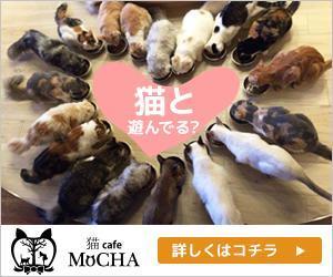 VainStain (VainStain)さんの猫カフェMoCHAのイメージ広告用バナーへの提案