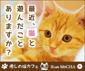 杉山　涼子 (sugiryo)さんの猫カフェMoCHAのイメージ広告用バナーへの提案