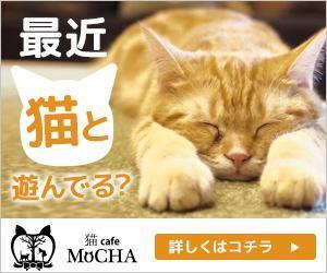 VainStain (VainStain)さんの猫カフェMoCHAのイメージ広告用バナーへの提案