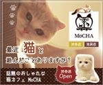 Nekorin (hapidesign)さんの猫カフェMoCHAのイメージ広告用バナーへの提案