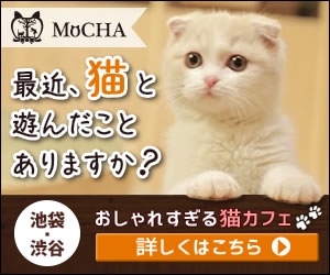 Darjeeling (Darjeeling6033)さんの猫カフェMoCHAのイメージ広告用バナーへの提案