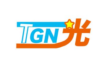 エスイーオー・ファクトリー (SEOFACTORY)さんの光回線販売の「TGN光」のロゴへの提案