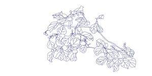 そろそろ (mmmkarasawa)さんのECで販売するオリジナル壁紙デザイン（「花」のデザイン）への提案