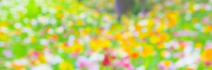 Kota.morishima ()さんのECで販売するオリジナル壁紙デザイン（「花」のデザイン）への提案