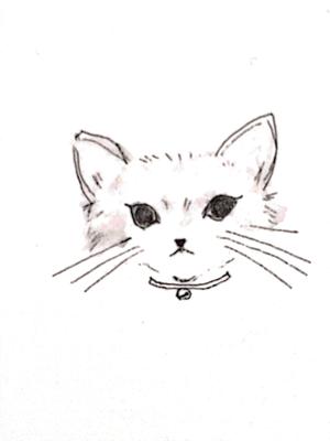 kaoll (kaoll)さんの可愛い猫のイラストへの提案