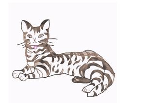 ＫＯＮＯＨＡＮＡＨＩＲＯ (yumeharuka)さんの可愛い猫のイラストへの提案