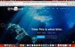 cocoa_yanさんの宮古島のダイビングショップ「BIGHOLIDAY」のロゴへの提案