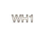 さんのホノルルのデータセンター「WH1」のロゴへの提案