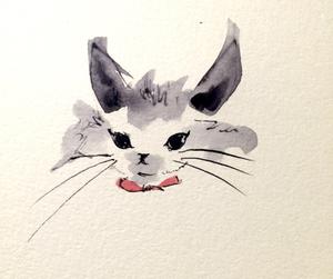 kaoll (kaoll)さんの可愛い猫のイラストへの提案