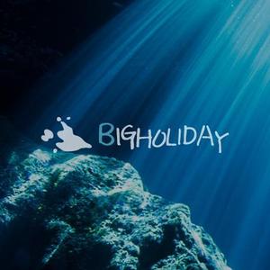 eiasky (skyktm)さんの宮古島のダイビングショップ「BIGHOLIDAY」のロゴへの提案