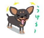 帆風かおる (koshiba)さんのインスタで人気のチワワのごまのLINEスタンプ作成への提案