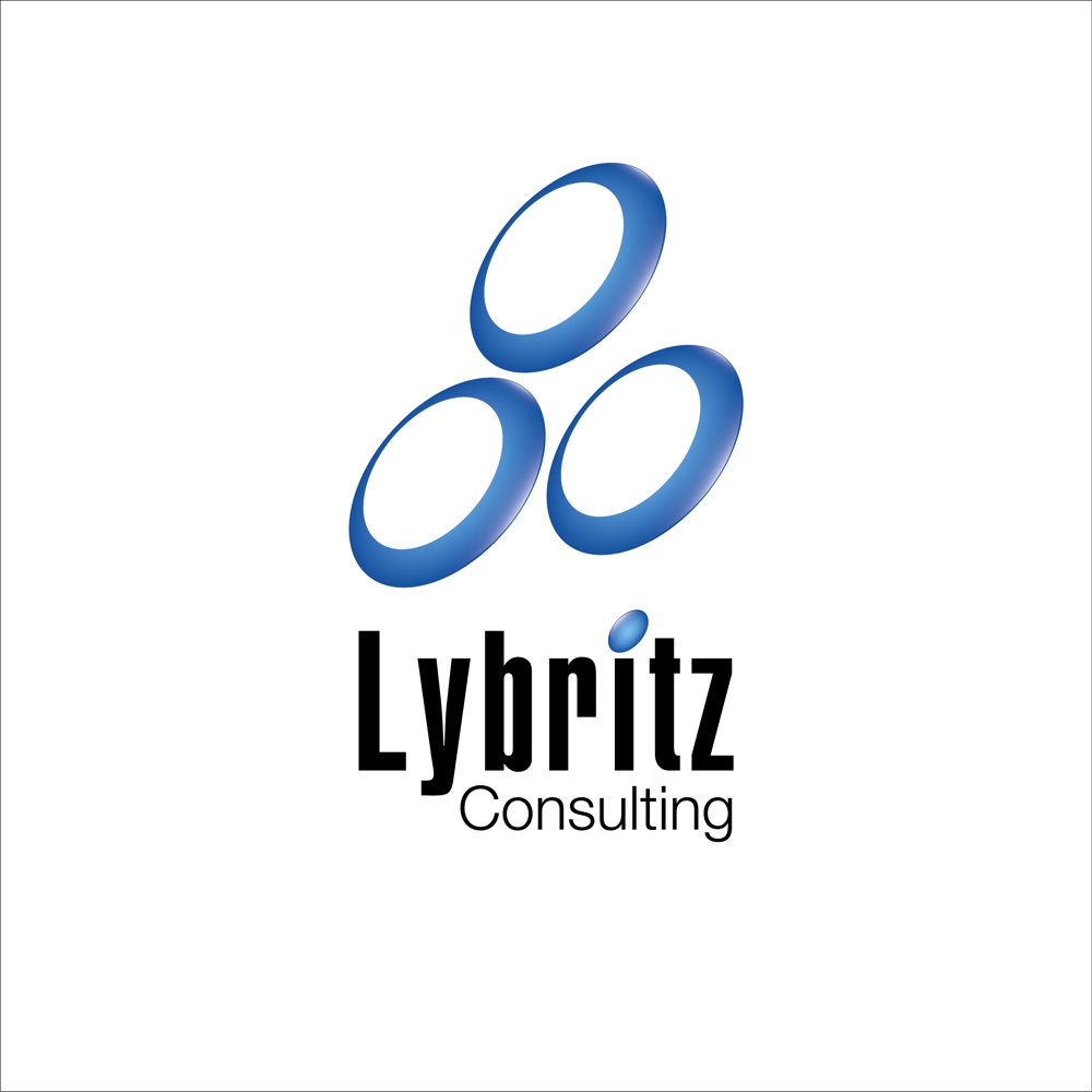 Lybritz Consulting_b01.jpg