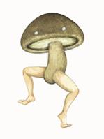 きのこっち (yazin)さんの椎茸のキャラクターデザインへの提案