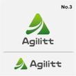 agilitt13.jpg