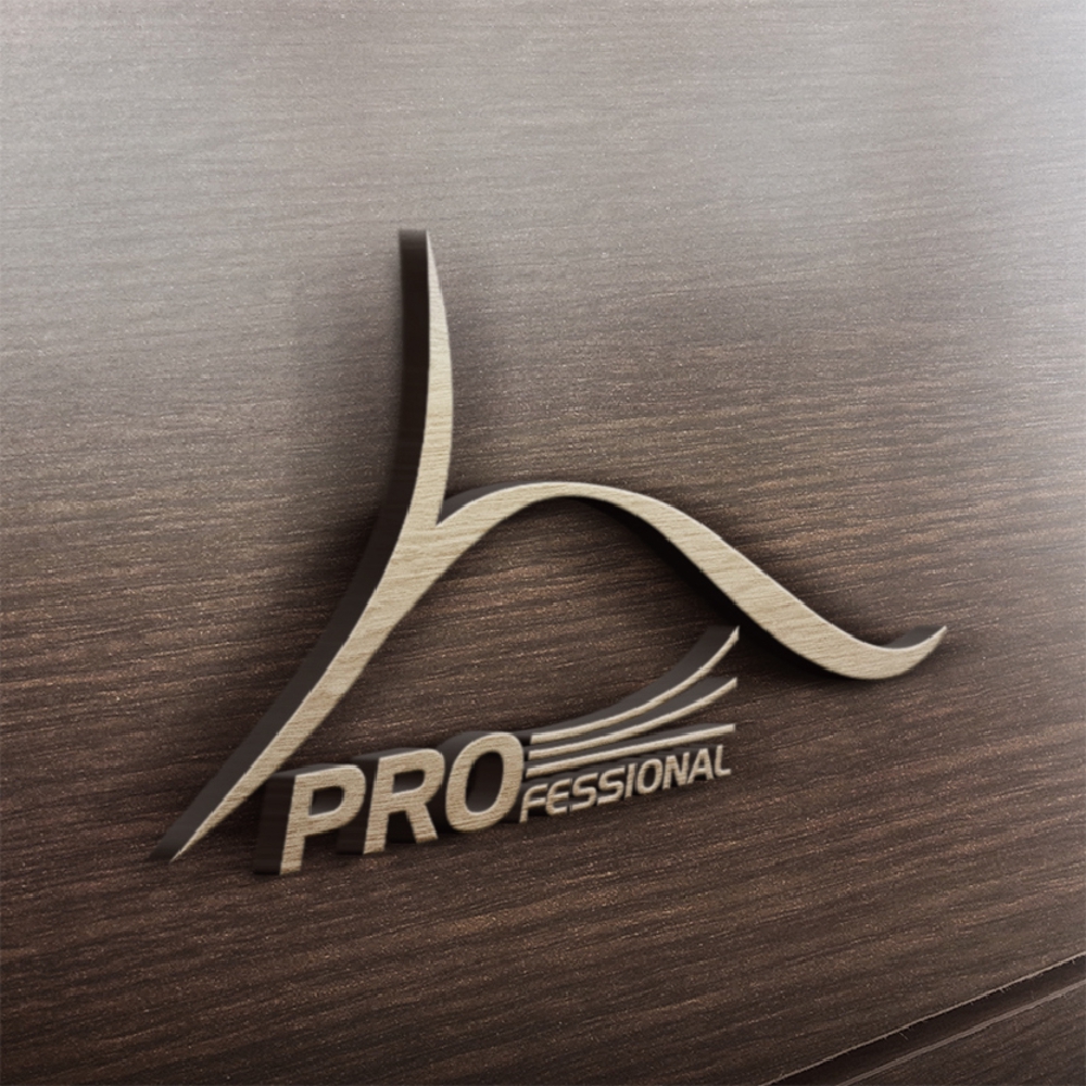 保険会社｢保険プロフェッショナル｣のロゴ作成