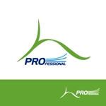 DOOZ (DOOZ)さんの保険会社｢保険プロフェッショナル｣のロゴ作成への提案