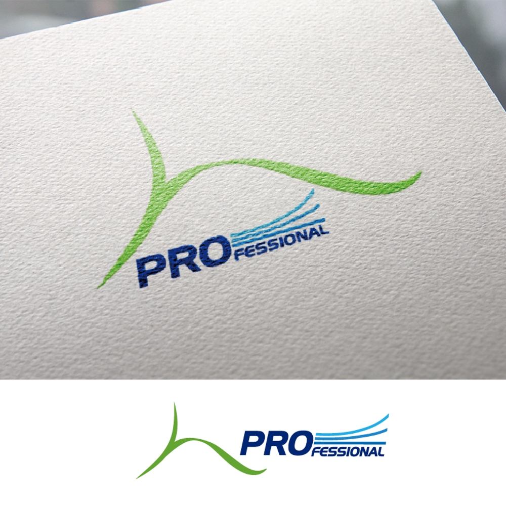 保険会社｢保険プロフェッショナル｣のロゴ作成