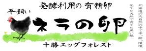 WEBデザイン、ロゴ、バナー何でもできます (san777)さんの平飼いたまごのパックのラベルデザインへの提案