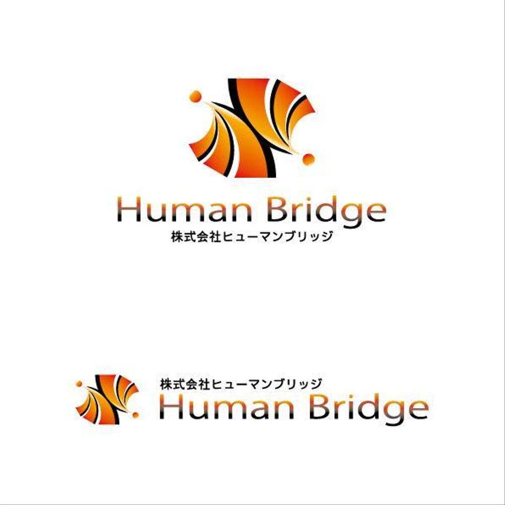 HumanBridge-3.jpg