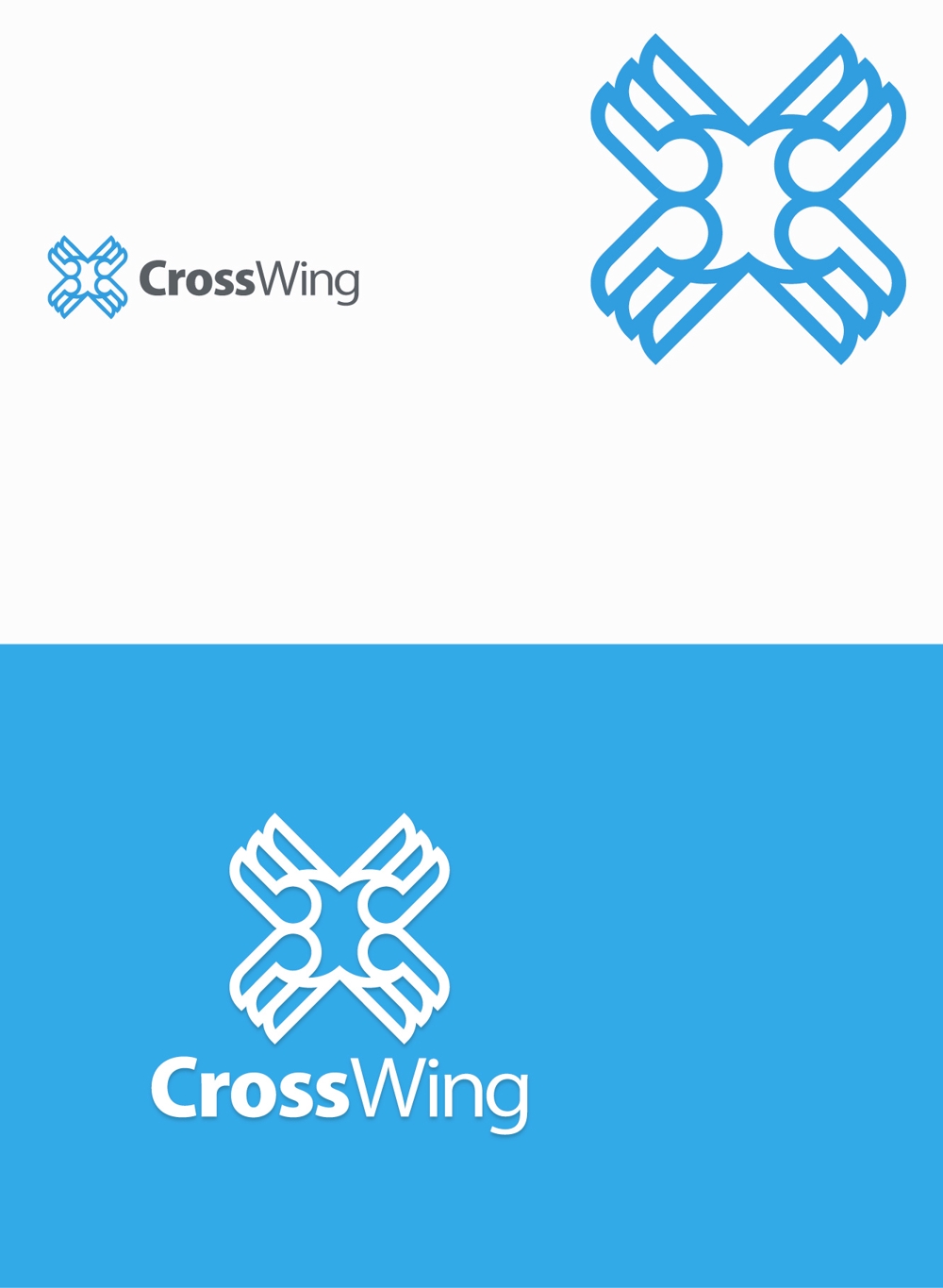 CrossWing4.jpg