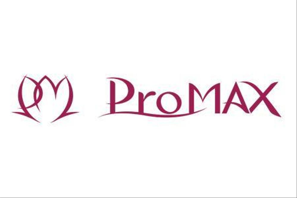 ProMAX_logo.jpg