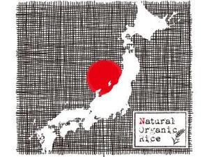 コバヤシ (y_daisy)さんのこれから オーガニックのお米を販売をします。デザインを依頼します。への提案