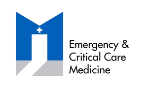 chanlanさんの大学病院『救急集中治療部』のロゴへの提案