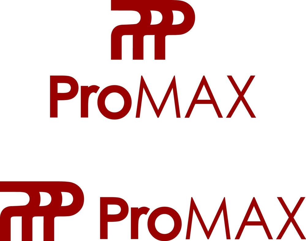 ProMAX 1.jpg