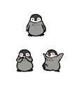 ペンギン-_サブ.jpg