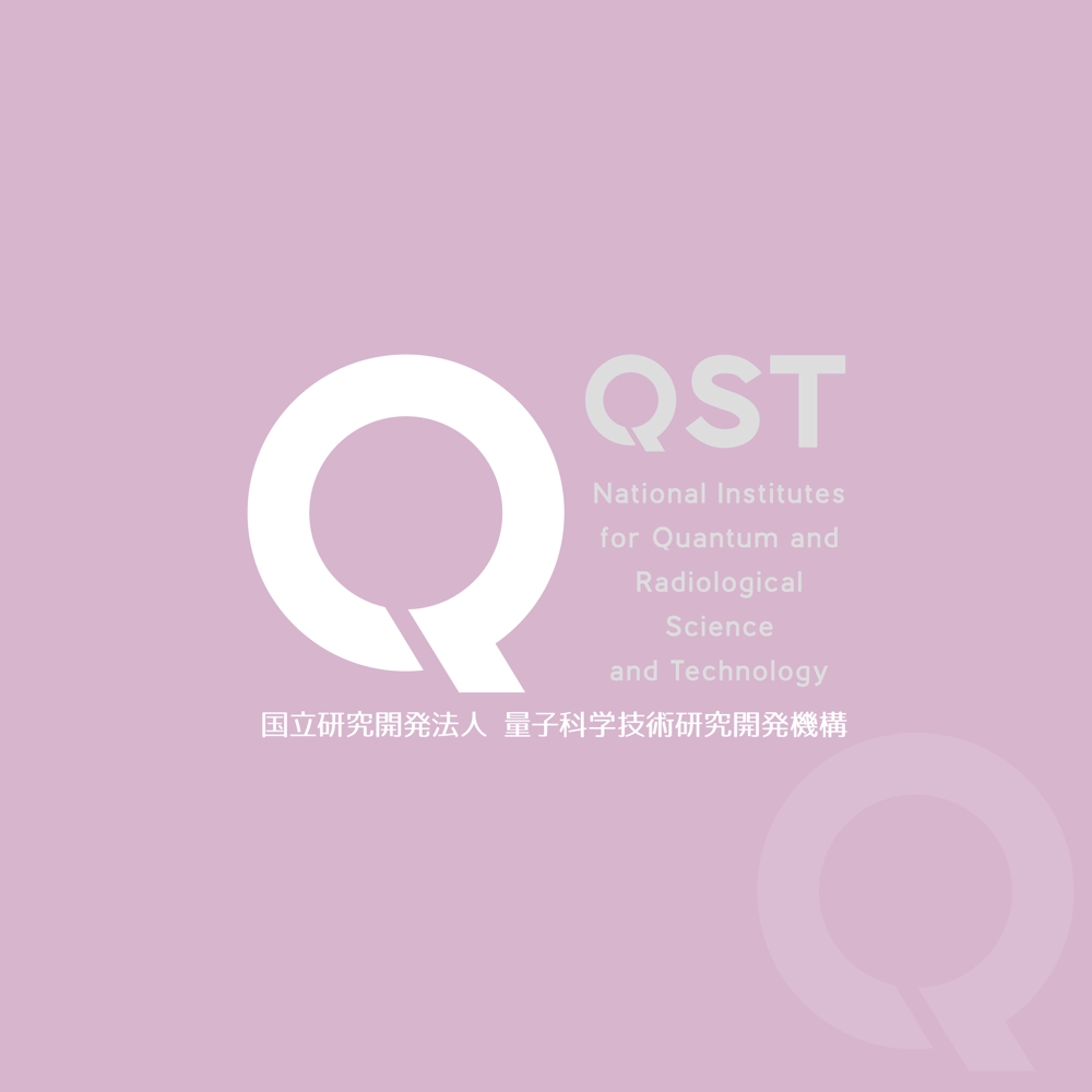 QST03-3.jpg