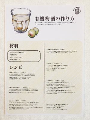 yagi (zz_lion_asadayo)さんのＥＣで販売する生梅のレシピ集（梅干し・梅酒・梅シロップ）を作成してほしいへの提案