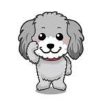 aurantium (aurantium)さんのトイプードル（カラー：シルバー）のキャラクターデザインへの提案