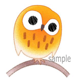 いぬく　はじき ()さんのフクロウのお店のキャラクターデザインへの提案