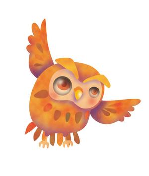 Dazai (dazaivoom)さんのフクロウのお店のキャラクターデザインへの提案