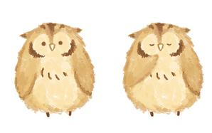 うえつき えみり (uetsuki_emiri)さんのフクロウのお店のキャラクターデザインへの提案