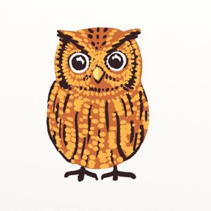 kropsworkshop (krops)さんのフクロウのお店のキャラクターデザインへの提案