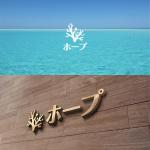 STBDESIGN (stb_design)さんのダイビングショップ『ホープ』のロゴへの提案