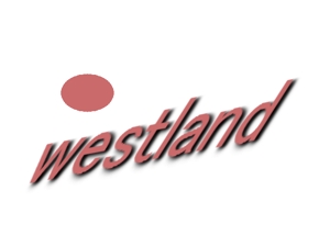 nyapifelさんの仲間が集うシステムコンサルタント「株式会社westland」の企業ロゴへの提案
