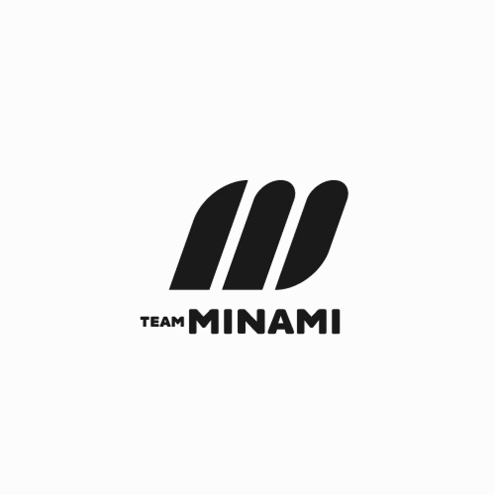 中学校「チームミナミ（MINAMI）」のロゴ