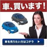 VainStain (VainStain)さんの「車を買う」「車を売る」のクリックするためのバナーを２つへの提案