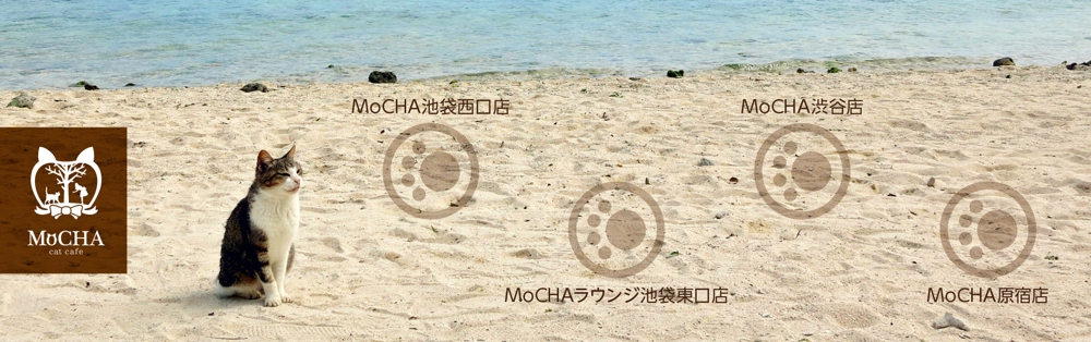 MoCHA_02.jpg
