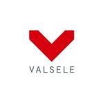 nabe (nabe)さんの物販事業の新ブランド『VALSELE』ロゴ作成への提案