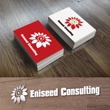 Eniseed-Consulting_B.jpg