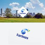 STBDESIGN (stb_design)さんの保険会社「Various」のロゴへの提案