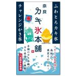 YOO GRAPH (fujiseyoo)さんの新規カキ氷専門店オープンにあたり看板（横断幕）のデザインを募集への提案