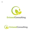 Eniseed Consulting2-03.jpg