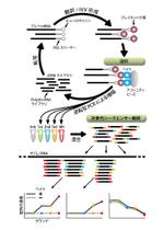 ムーブオン (move-on)さんのバイオ系論文のイラスト（ブラッシュアップ）への提案