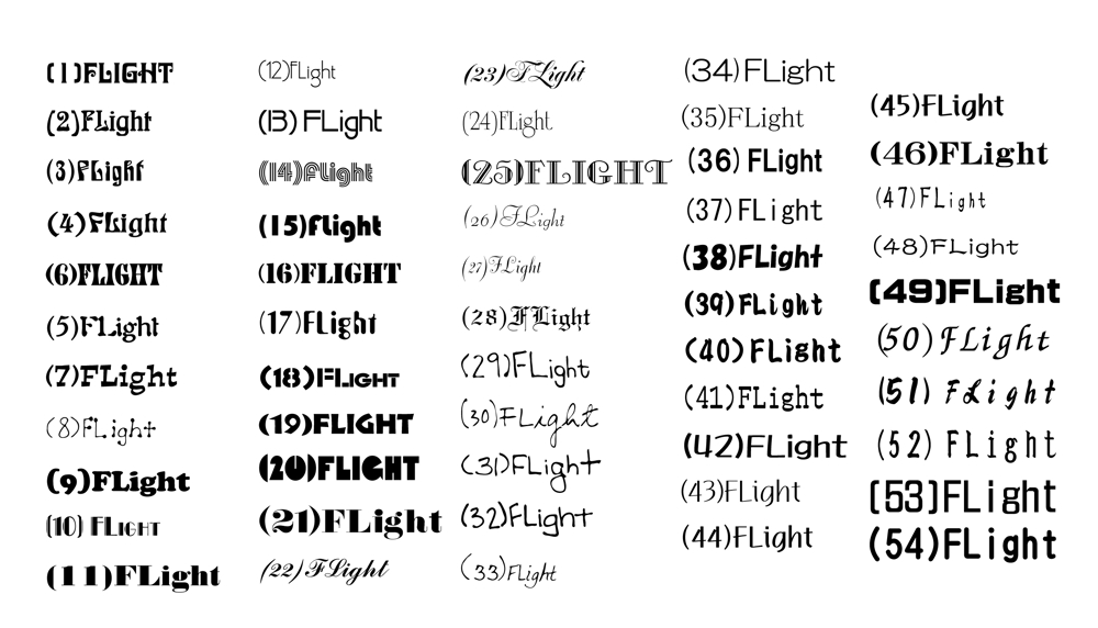 会社ロゴ（FLight文字）1.jpg