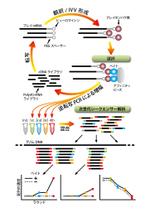 ムーブオン (move-on)さんのバイオ系論文のイラスト（ブラッシュアップ）への提案