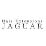 honeycomb (grace_design)さんのエクステ、ウィッグの専門店Hair Extensions JAGUAR　のロゴ作成（商標登録予定なし）への提案